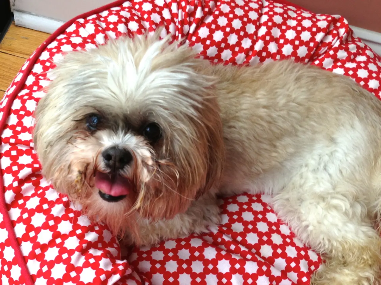 Accessing DOM element type with JavaScript: A Guide