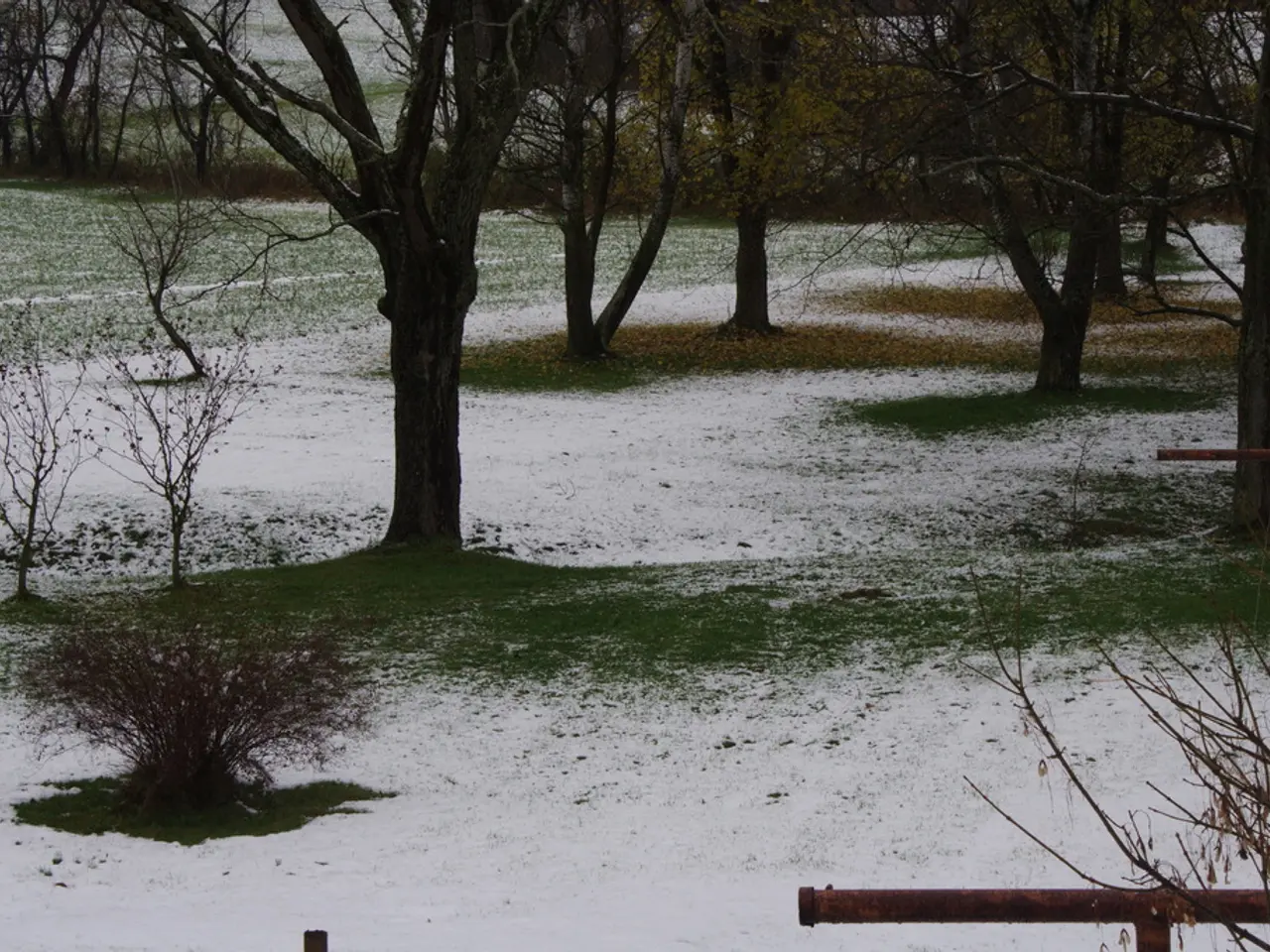 Fundraising of $12.6 Million in Series A for Carbon-Reducing Technologies by Provectus Algae