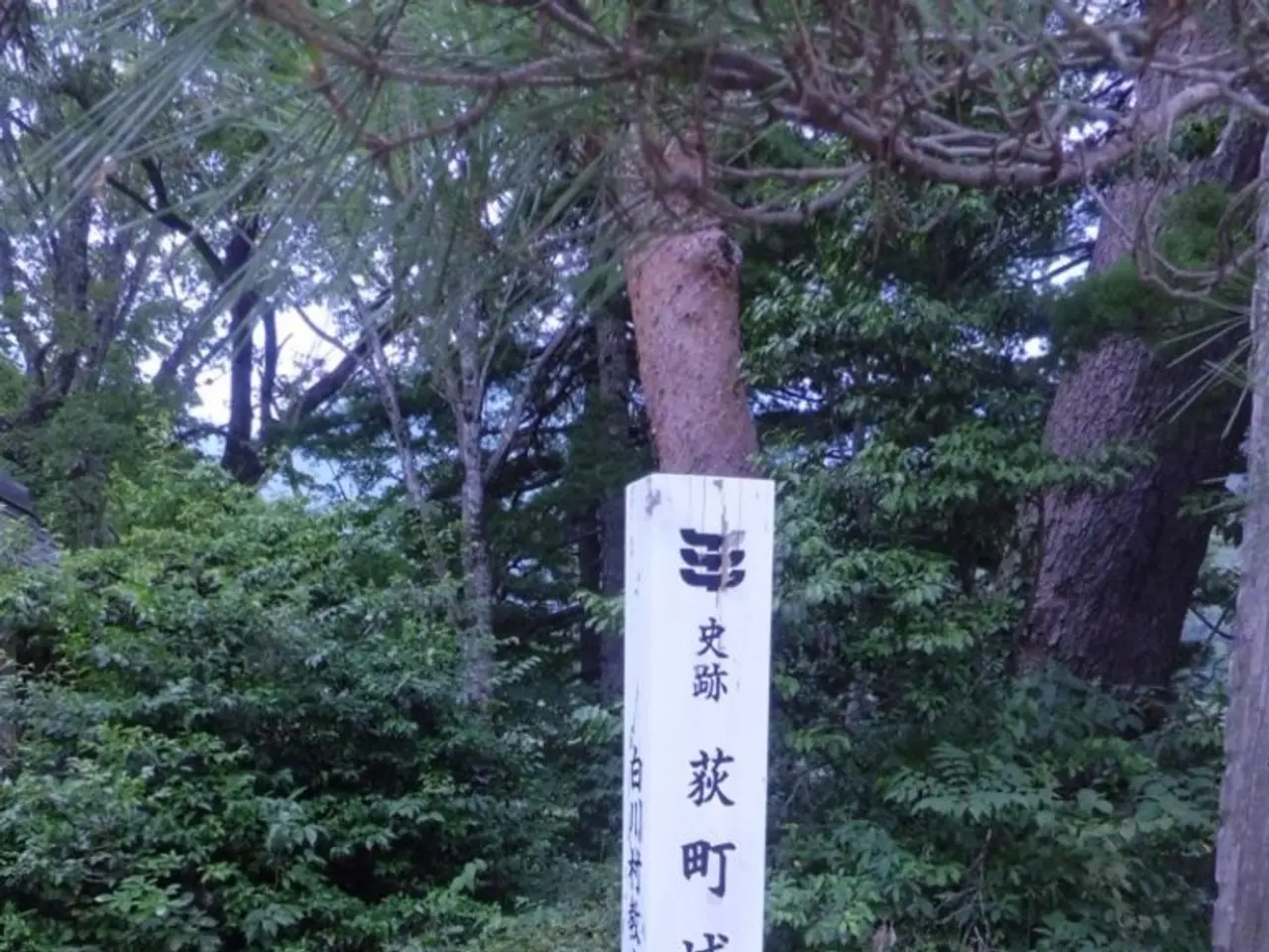 In this image in the center there is a wooden log with some signs on it and in the background there...