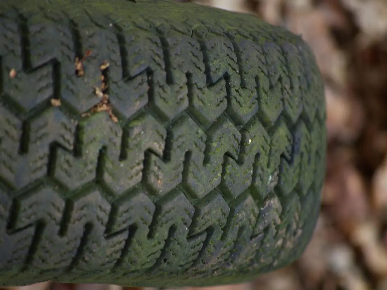 In this image we can see a tire.