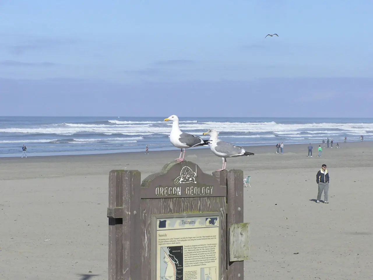 In this image there are two birds on the sign board, few people on the sea shore, an ocean, a bird...