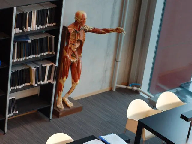 Digital replication technology in retail industry: Advantages, scenarios, and methods of...