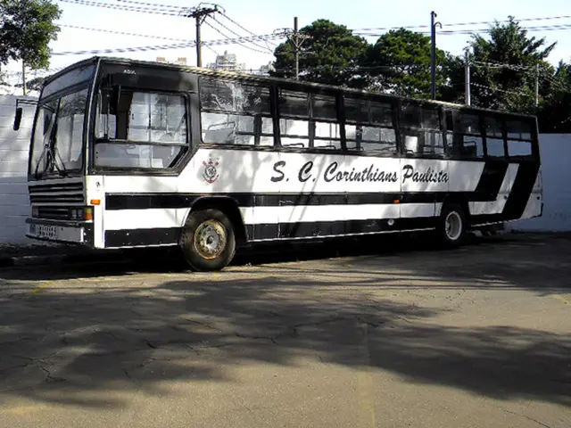 BasiGo's Contribution to Africa's Transition towards Eco-friendly Transportation