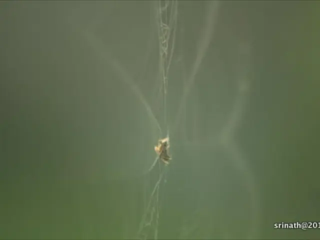 Websites with text forms will be labeled as "Not Secure" by Chrome beginning in October