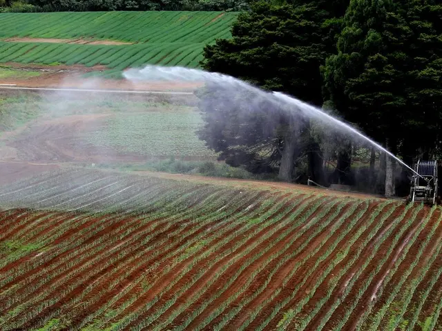 Evolution of Kamigo Plant Fueled by Automation, Digitalization, and Diversity