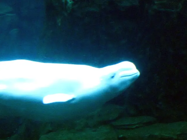 Updates from DEMA 2022 Event