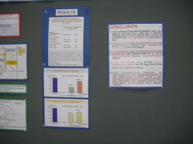 Guide on Crafting a Process Improvement Strategy [Over 20 Templates Provided]