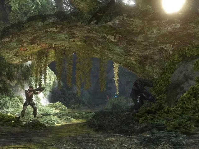 "Survival Chronicles": Enduring Life with Jan, Joined by Multiple Jans