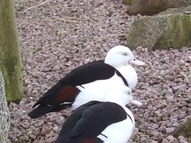 Geological Formations Rich in Copper Ores