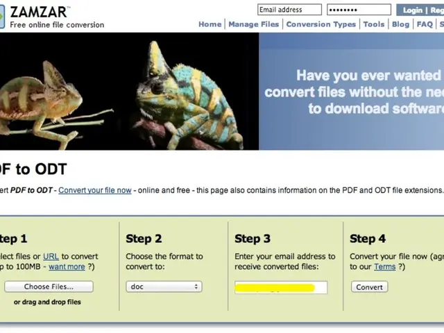 Secure and Maintain Your Web Presence Long-term: A Guide to Registering an ENS Domain Name