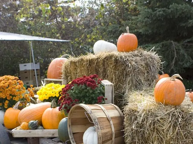 Guidance on Installing Jenkins on Rocky Linux Version 9