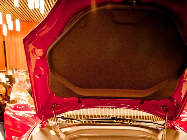 Germany Captures European Lead in Electric Vehicle Production - Credited to Habeck and Lindner?