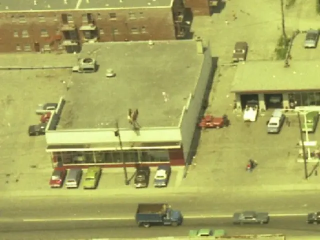 Business and Investment Thrive in Lower Saxony, Alongside Equine Activities