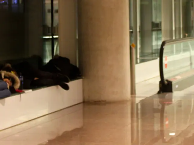 Unraveling the enigma of Munich's escalators: A specialist unmasks a conundrum thathas left many...