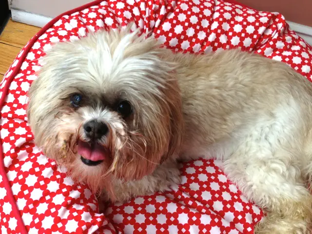 Accessing DOM element type with JavaScript: A Guide