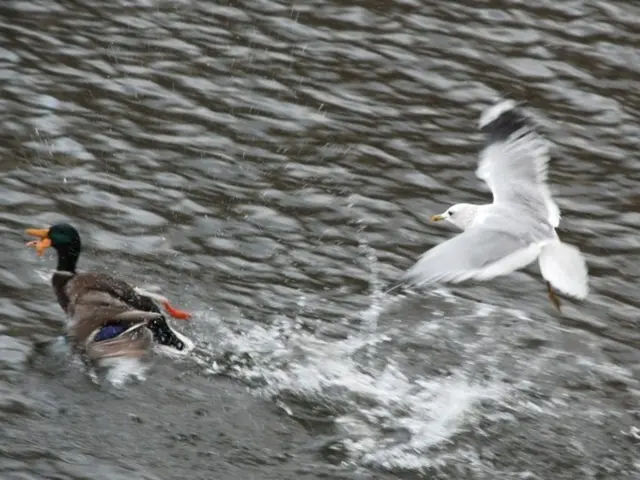 Tether Files a Lawsuit Against Swan Bitcoin Over Shared Bitcoin Mining Collaboration