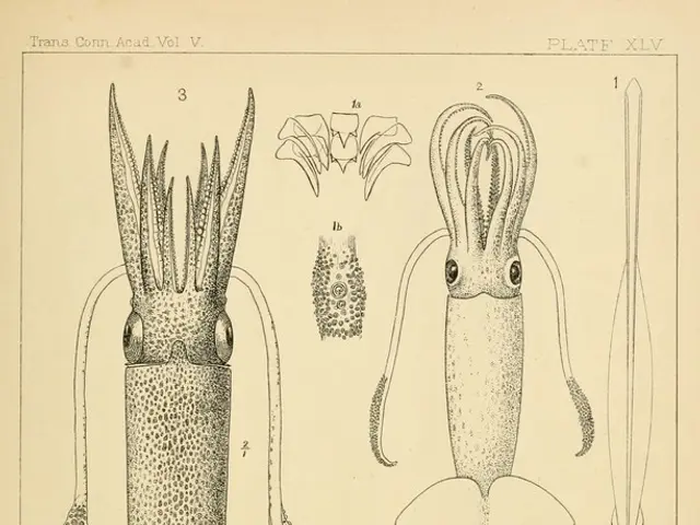 intriguing findings reveal unusual methods of communication by an ancient Triassic reptile,...