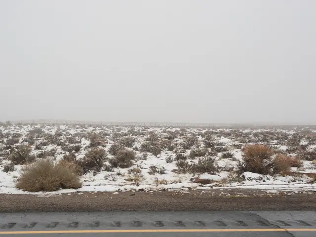 "Digital Doppelganger for Earth: Aiding in the Forecast and Prevention of Climate Alteration"