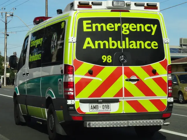 Solar Vehicle Manufacturers from Stanford: The Eco-Friendly Automakers