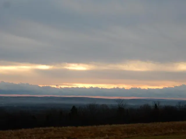 Launches AI-Powered Security Consultancy by Aqua Security