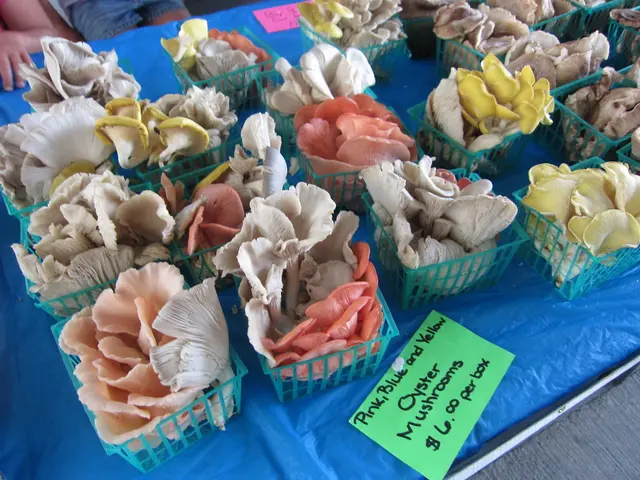 Xbox Ally and Xbox Ally X potential prices may have been revealed, and if accurate, the costs...