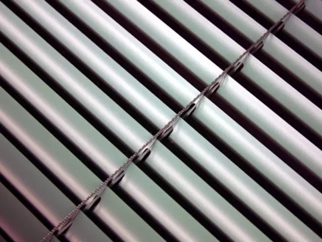 Uncensored Advice: Is It Right to Delete Polyfill from WordPress?