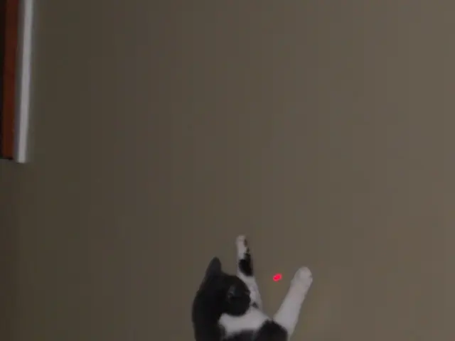 Unveiled: Magnetism in Common Metals Discovered Through Laser Inspection