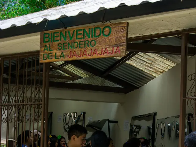 Choosing Your User Labels: Which Term Suits Your Perspective Best?