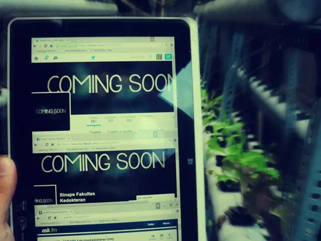 Revamped Huion Kamvas Slate 13 Evaluation: Impressive Visual Appeal Tarnished by Misleading Stylus...