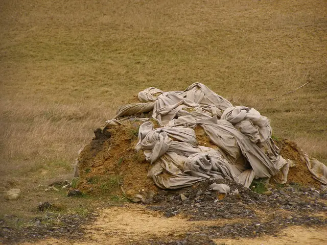 "A bold and rough-terrain trail runner, the Mafate 5 by Hoka, adopts innovative strategies for...