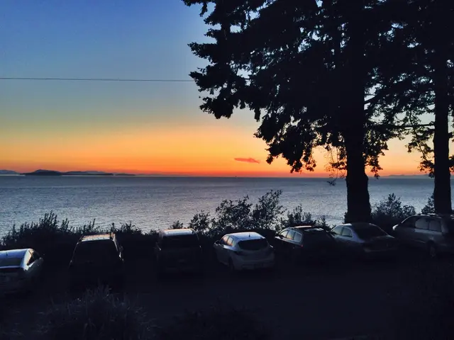 Investigating the mysterious black box: A guide for index investors on propelling the net zero...