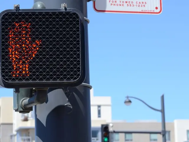 Unique smart cameras installed in Sirius identified 600 individuals engaging in illegal...