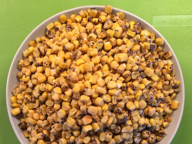 Intensified Thrills and Increased Drama: Spartan Poker Amplifies Winnings with Bomb Pot