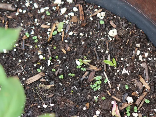 Unseen Laborers: The Ones Who Disintegrate Vegetation in Factories