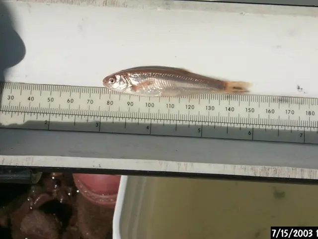 API utilizing GraphQL technology for data manipulation and querying