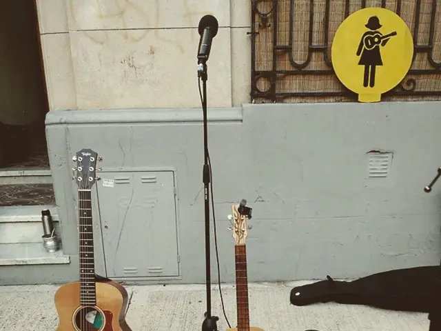 "Today's notable pedalboard showcase": Seal, a self-proclaimed enthusiast of guitar pedals, unveils...