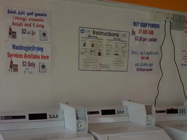 Soaring Token Stands Out Amidst Declines in SHIB and ADA Values