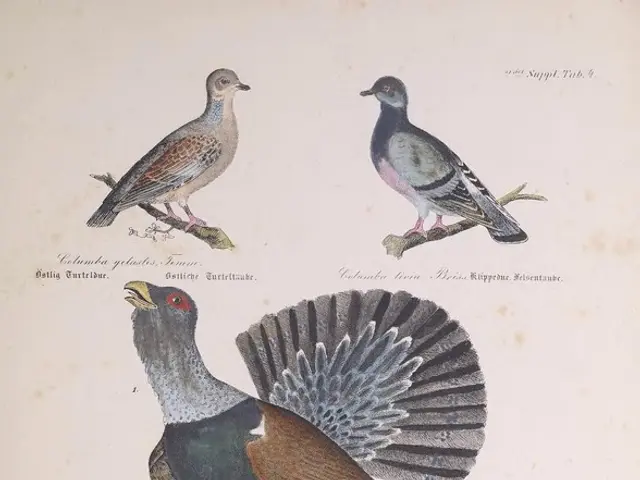 YouTuber Preserves Picture of a Bird Inside a Bird's Melody, Storing a 176KB Digital Artwork