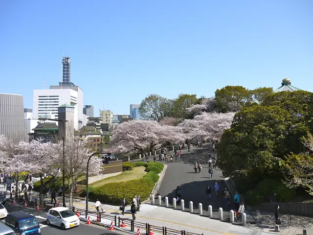 Exploration of continuous transportation systems