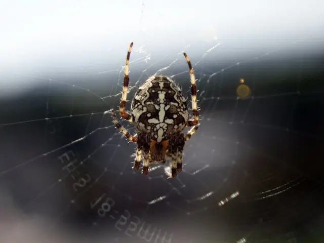 Vital Traits to Consider When Choosing a Web Design Firm