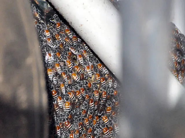 Discover exiting careers at Honeybee Robotics: Be a part of the pioneering advancements in...