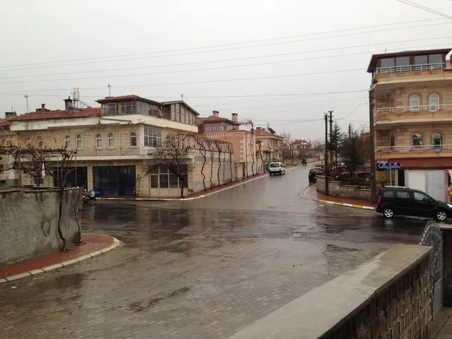 Tesla Update July 25th: Debut of variances for Model Y, Elon Musk's protests, safeguarding of...