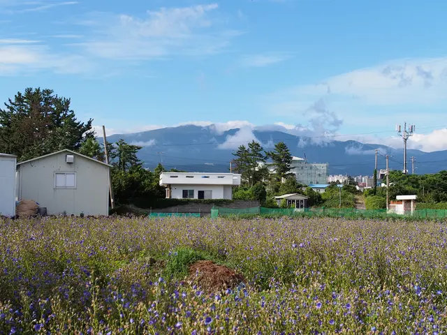 Increased electricity consumption for data centers in the United States expected to hit...