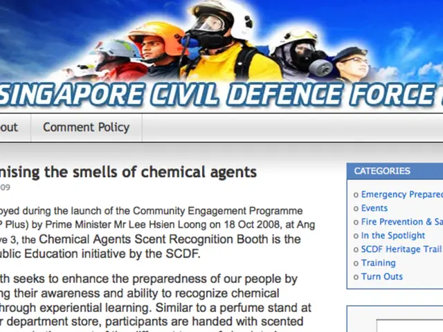 Considering the elimination of Polyfill from a WordPress setup?