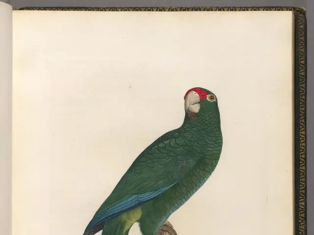 Hedera invests strategically in Ivorypay, a company specializing in stablecoin payments.