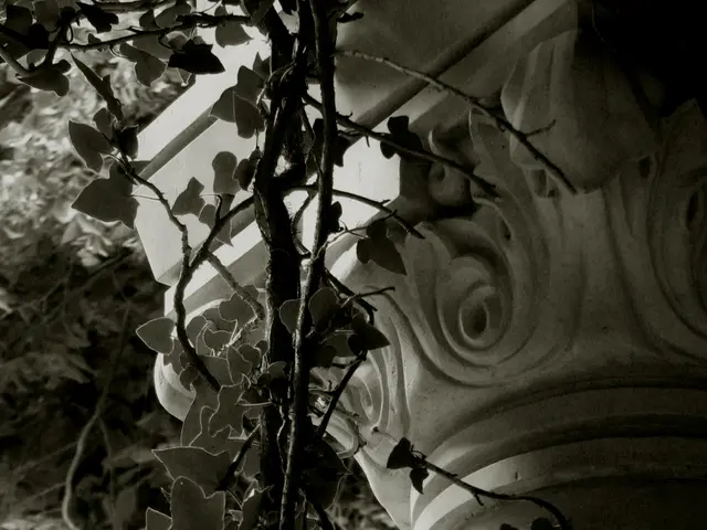 Refined Assessment of Unistellar Odyssey: Smooth and Effortless Customer Interaction