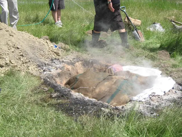 Preparing for an apocalypse misconceptions debunked: The correct approach to survive the end of the...