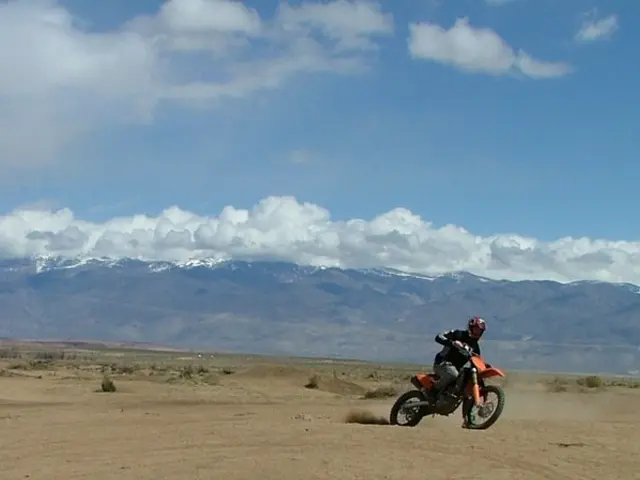 Pick the Ideal Motor Oil: A Guide