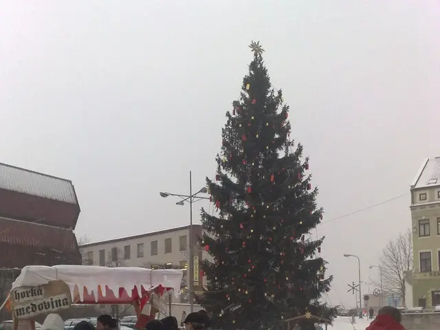 Constant 4K livestreams available on our site, offering around-the-clock views of Earth from the...