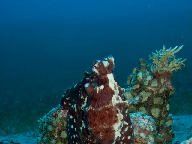 United States Hydrographic Services Review Panel Federal Advisory Committee's Approach to Engage...